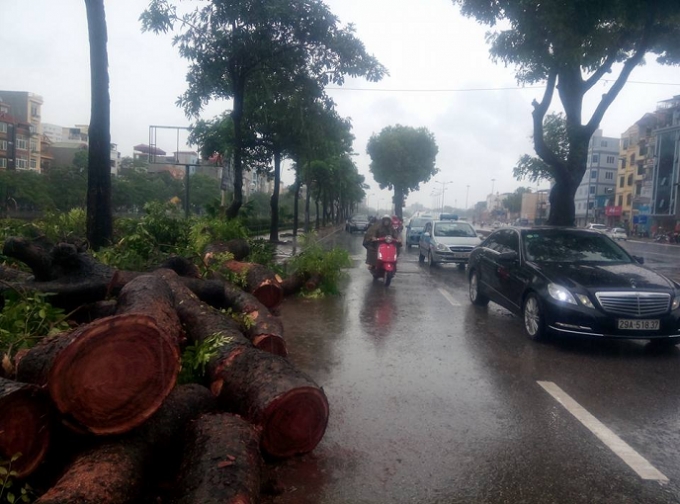 Th&ocirc;ng tin mới nhất về cơn b&atilde;o số 1: 1 người chết v&agrave; 4 người kh&aacute;c bị thương