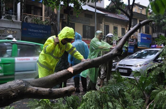 Lực lượng CSGT tham gia v&agrave;o việc giải ph&oacute;ng c&aacute;c tuyến đường c&oacute; c&acirc;y đổ, cản trở giao th&ocirc;ng.