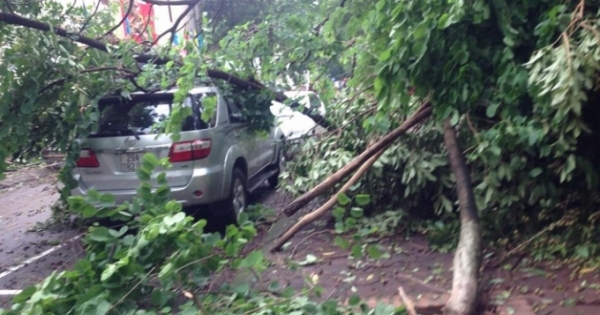 Dự báo thời tiết ngày 29/7: Áp thấp nhiệt đới đi sâu vào đất liền