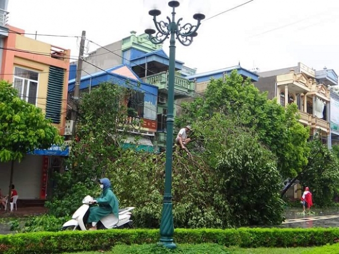 Người d&acirc;n dọn dẹp khắc phục hậu quả sau b&atilde;o.&nbsp;Ảnh: Duy T&aacute;m.