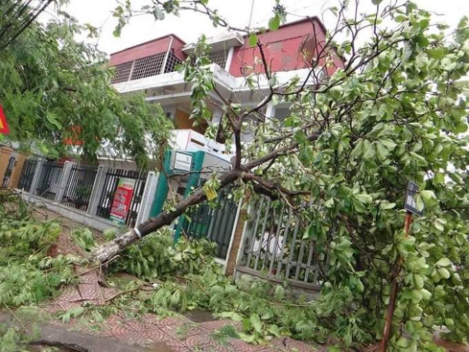 Ảnh: Duy T&aacute;m.