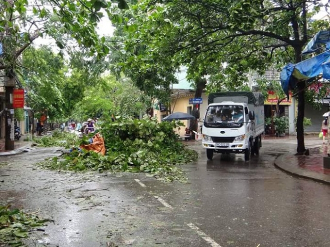 Ảnh: Duy T&aacute;m.