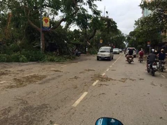 Ảnh: Thảo Nguy&ecirc;n.