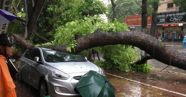 Thiệt hại nặng nề từ cơn bão số 1: Công tác dự báo "có vấn đề"?