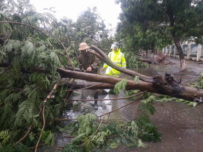 &nbsp;B&atilde;o số 1