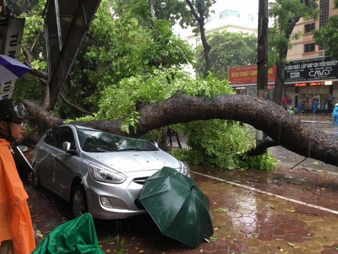 &Ocirc;ng Ho&agrave;ng Đức Cường khẳng định: &ldquo;Việc dự b&aacute;o b&atilde;o, đường đi của b&atilde;o cũng như cấp độ b&atilde;o đổ bộ, lượng mưa đều kh&aacute; sớm v&agrave; s&aacute;t&rdquo;.