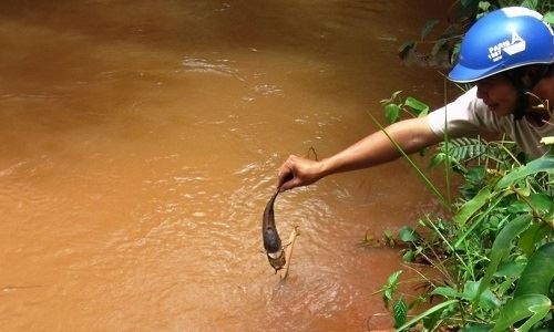 Vỡ đường ống chứa kiềm nhà máy alumin Nhân Cơ Đắk Nông