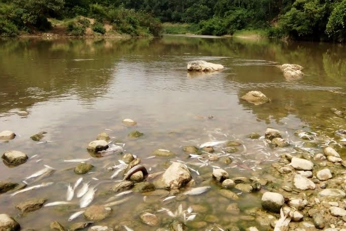 Nguy&ecirc;n nh&acirc;n c&aacute; chết tr&ecirc;n s&ocirc;ng &Acirc;m đoạn qua x&atilde; Giao An đang chờ kết quả x&eacute;t nghiệm mẫu nước v&agrave; kết luận từ cơ quan chức năng.