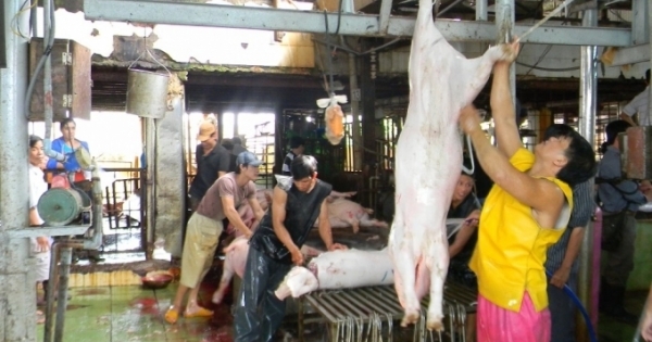 Con tem có làm nên miếng thịt sạch?