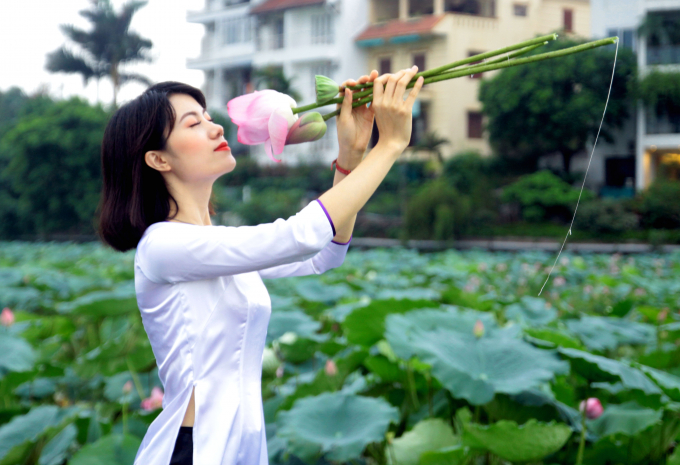 &nbsp;&Agrave;o d&agrave;i trắng tinh kh&ocirc;i l&agrave;m nổi bật những c&aacute;nh sen hồng khoe sắc.