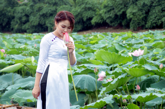 Giới trẻ h&agrave;o hứng khoe sắc c&ugrave;ng hoa sen