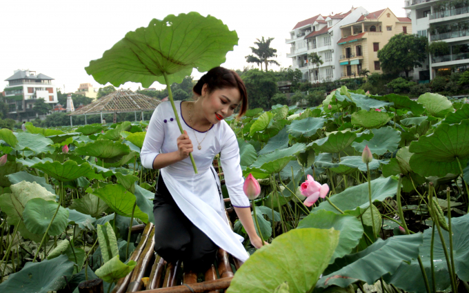 Giới trẻ h&agrave;o hứng khoe sắc c&ugrave;ng hoa sen