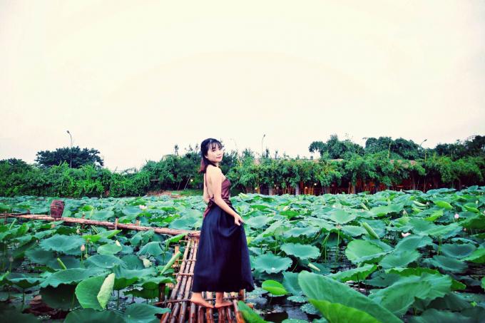 Giới trẻ h&agrave;o hứng khoe sắc c&ugrave;ng hoa sen