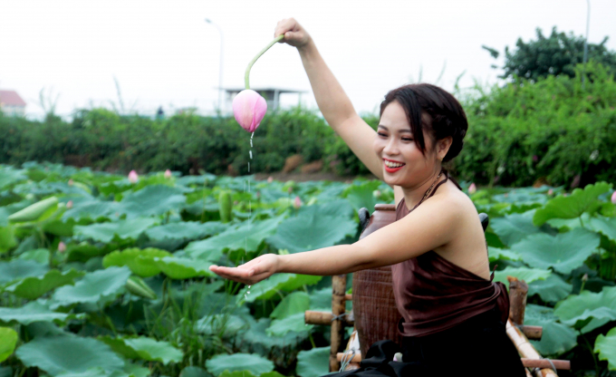 Giới trẻ h&agrave;o hứng khoe sắc c&ugrave;ng hoa sen