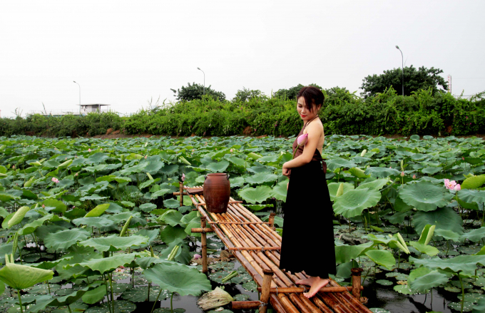 Giới trẻ h&agrave;o hứng khoe sắc c&ugrave;ng hoa sen