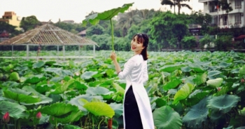 Giới trẻ hào hứng khoe sắc cùng hoa sen