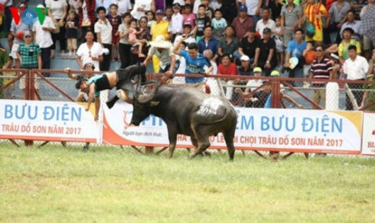 3 c&uacute; h&uacute;c ch&iacute; mạng của tr&acirc;u số 18 khiến &ocirc;ng Đinh Xu&acirc;n Hướng tử vong sau nhiều giờ cấp cứu.