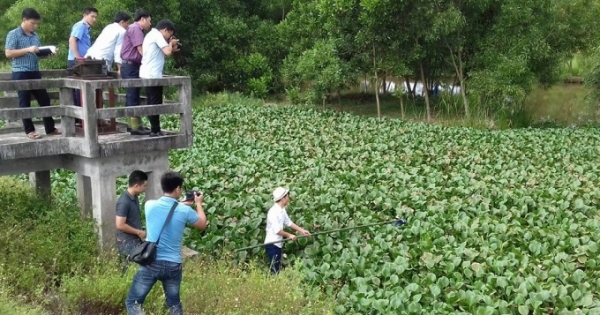 Hà Tĩnh: Bắt nóng nghi phạm giết bạn thân, cướp tài sản