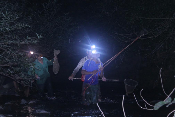 Nh&oacute;m thợ săn đ&ecirc;m đang t&igrave;m kiếm