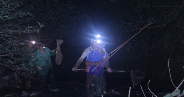 Lâm Đồng: Săn thú rừng xuyên đêm, nguy hiểm luôn rình rập