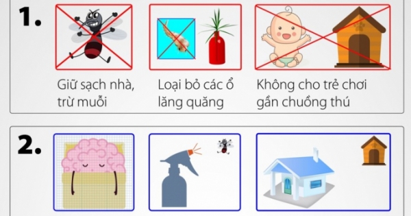 4 bước phòng dịch viêm não Nhật Bản mùa hè