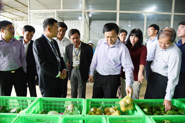 Ph&oacute; Thủ tướng Vương Đ&igrave;nh Huệ thăm m&ocirc; h&igrave;nh tại HTX n&ocirc;ng nghiệp Tiến Huy.