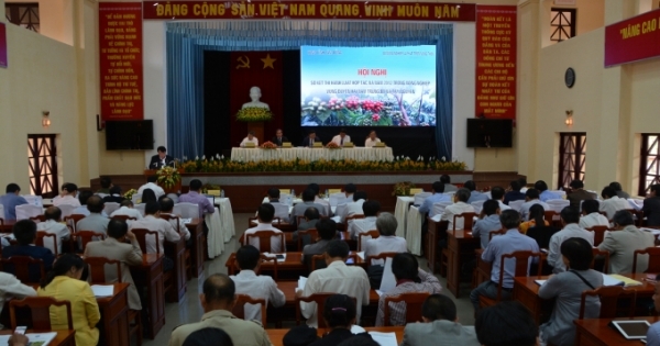 Lâm Đồng: Sơ kết thi hành Luật HTX năm 2012 trong lĩnh vực nông nghiệp vùng duyên hải Nam Trung bộ và Tây Nguyên