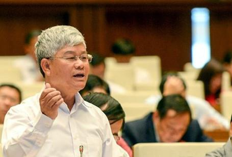 Nguy&ecirc;n ĐBQH kh&oacute;a XIII Nguyễn Anh Sơn.