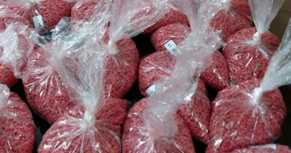 Lai Châu: Bắt đối tượng vận chuyển 300.000 viên ma túy tổng hợp