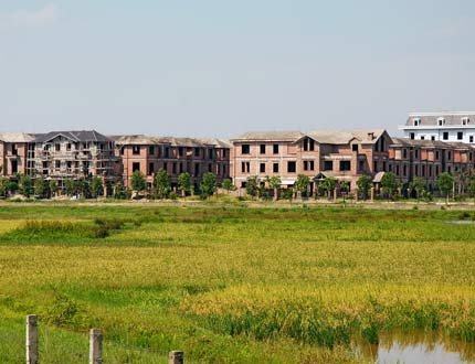 Thủ tướng Ch&iacute;nh phủ đồng &yacute; cho việc chuyển mục đ&iacute;ch sử dụng đất từ đất trồng l&uacute;a sang đất phi n&ocirc;ng nghiệp.