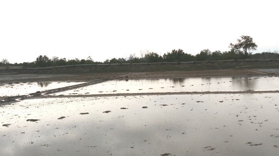 Kỳ 5 - Hợp đồng giao khoán của BQL Rừng phòng hộ tỉnh Bà Rịa - Vũng Tàu có dấu hiệu khai khống?