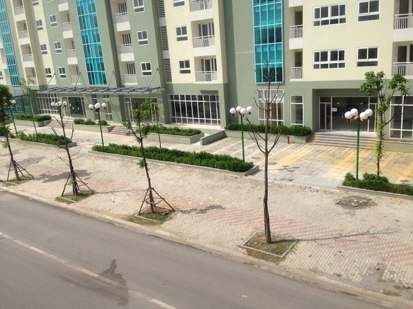 Những c&acirc;y xanh tốt được đưa về giờ đ&acirc;y biến th&agrave;nh những c&agrave;nh c&acirc;y kh&ocirc; tr&ecirc;n đoạn đường n&agrave;y.