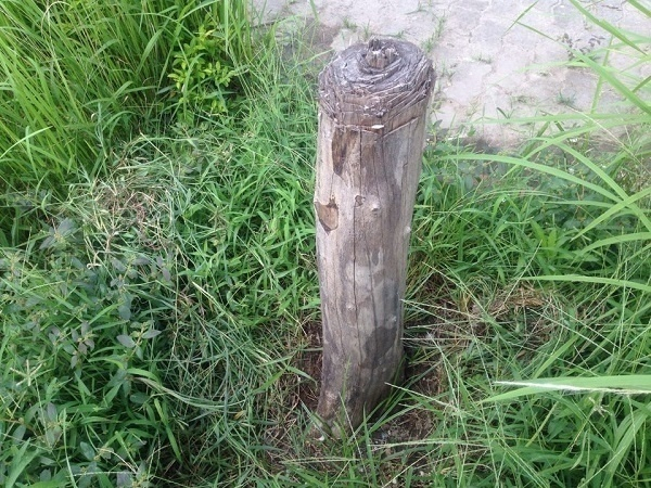 &nbsp;... V&agrave; nằm trơ trọi b&ecirc;n lề đường.