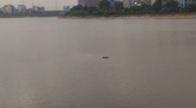 Thi thể người đ&agrave;n &ocirc;ng được người d&acirc;n ph&aacute;t hiện v&agrave; b&aacute;o ch&iacute;nh quyền địa phương.