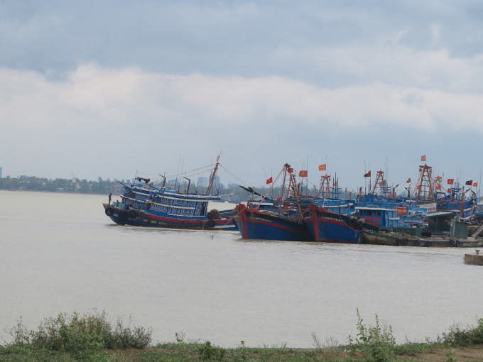 Hiện tại 100 % t&agrave;u thuyền tr&ecirc;n địa b&agrave;n tỉnh Nghệ An đ&atilde; v&agrave;o nơ neo đậu an to&agrave;n.