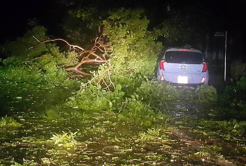 C&acirc;y đổ ngổn ngang chắn hết đường H&agrave; Huy Tập, th&agrave;nh phố Vinh. Ảnh:&nbsp;B&ugrave;i Hậu