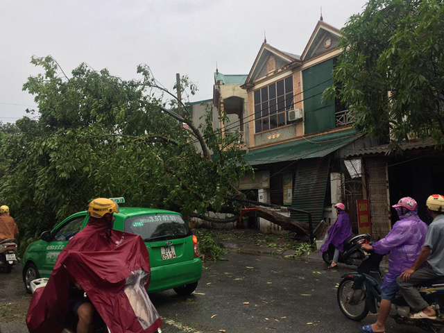 B&atilde;o qu&eacute;t qua, c&acirc;y đổ ngổn ngang, nhiều đường bị ngập