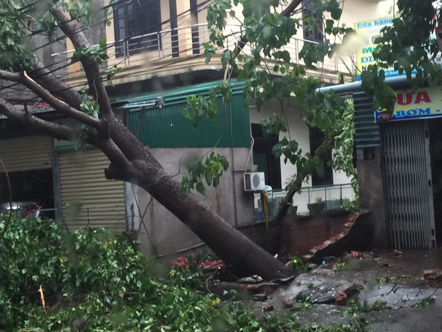 B&atilde;o qu&eacute;t qua, c&acirc;y đổ ngổn ngang, nhiều đường bị ngập
