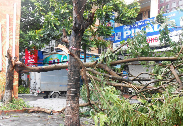 B&atilde;o qu&eacute;t qua, c&acirc;y đổ ngổn ngang, nhiều đường bị ngập
