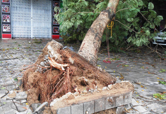 B&atilde;o qu&eacute;t qua, c&acirc;y đổ ngổn ngang, nhiều đường bị ngập