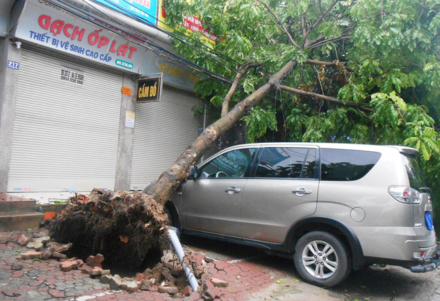 B&atilde;o qu&eacute;t qua, c&acirc;y đổ ngổn ngang, nhiều đường bị ngập