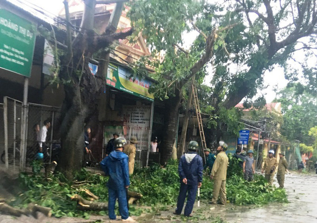 Người d&acirc;n v&agrave; ch&iacute;nh quyền tổ chức dọn dẹp c&acirc;y cối g&atilde;y đổ sau b&atilde;o.