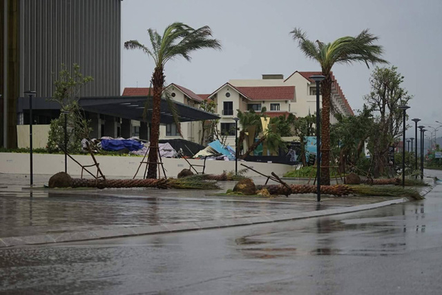 Tại TP H&agrave; Tĩnh, c&acirc;y cối cũng đổ ngổn ngang tr&ecirc;n nhiều tuyến phố.