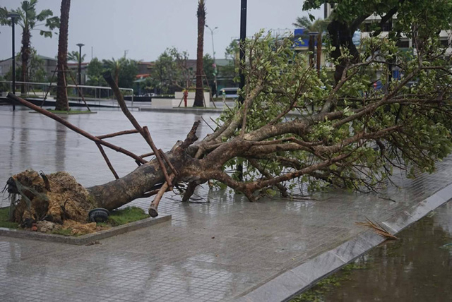 B&atilde;o qu&eacute;t qua, c&acirc;y đổ ngổn ngang, nhiều đường bị ngập