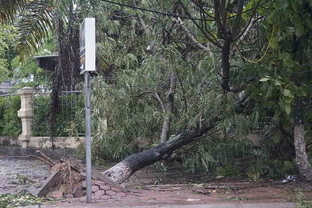 B&atilde;o qu&eacute;t qua, c&acirc;y đổ ngổn ngang, nhiều đường bị ngập