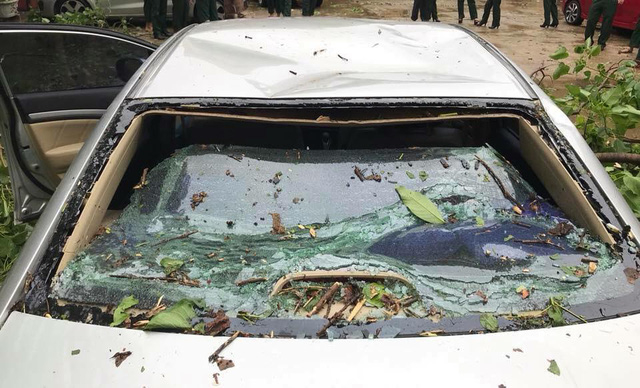 Một xe &ocirc; t&ocirc; hư hỏng nặng do bị c&acirc;y xanh đổ v&agrave;o.