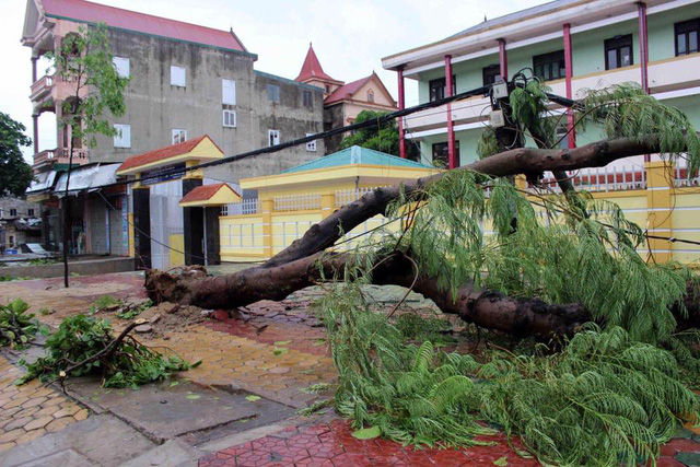 B&atilde;o qu&eacute;t qua, c&acirc;y đổ ngổn ngang, nhiều đường bị ngập