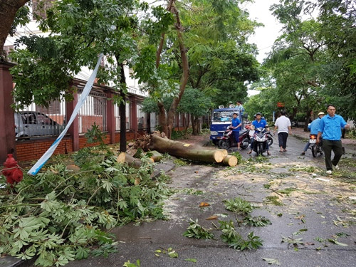 Cơn b&atilde;o số 2 c&oacute; t&ecirc;n Talas đ&atilde; đổ bộ v&agrave;o đất liền tại hai tỉnh Nghệ An v&agrave; H&agrave; Tĩnh. Ảnh: Tiền Phong.