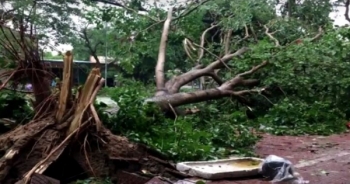 Bão số 2 đổ bộ gây nhiều thiệt hại cho khu vực Bắc Trung Bộ