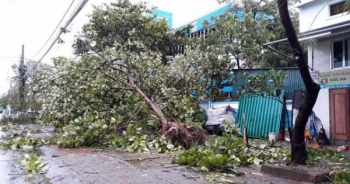 Bão số 2 về và bài thơ làm nhói lòng dân mạng